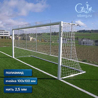 Cетка для футбольных ворот 2,5 ячейка 100х100 мм юниорфутбол (пара)
