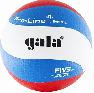 Мяч волейбольный GALA Pro-Line 10 FIVB BV5591S р. 5 белый-голубой-красный